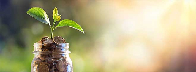 A jar is filled with coins and growing a plant