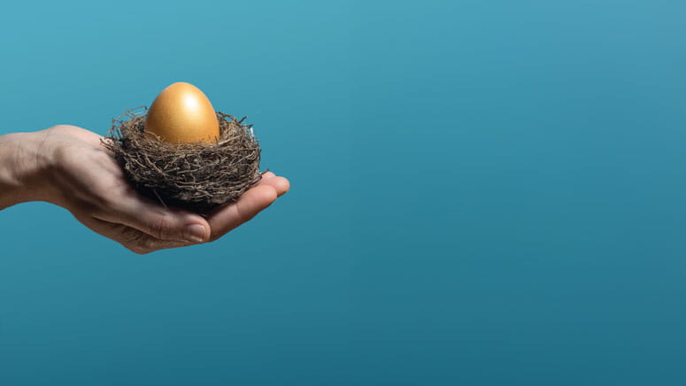 A hand holds a nest with an egg on it