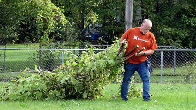 A man hauls a branch on a lawn