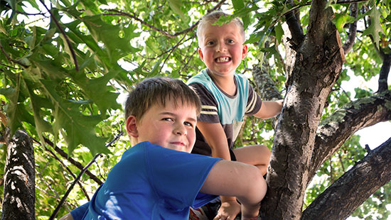 Two brothers smiling in a tree