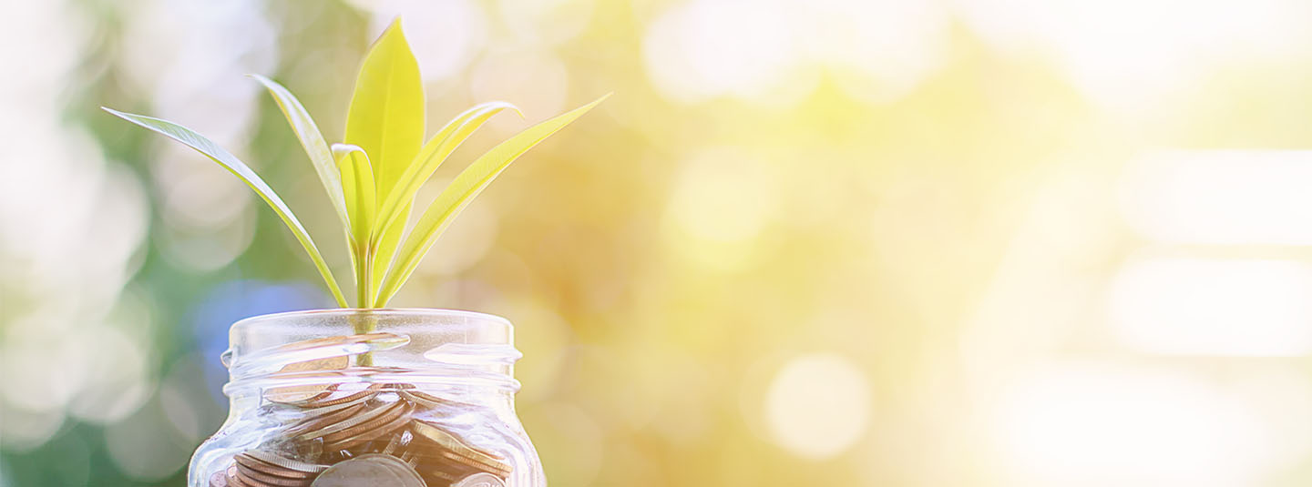 Plant growing out of a glass jar filled with coins