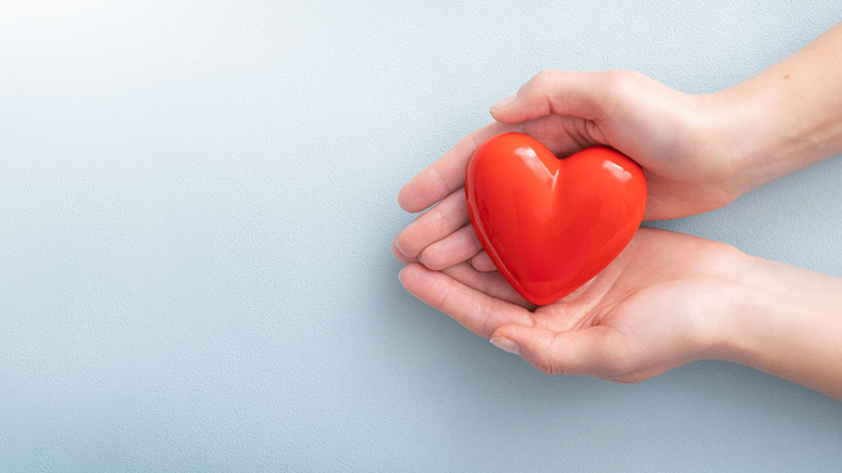 Person holding plastic heart