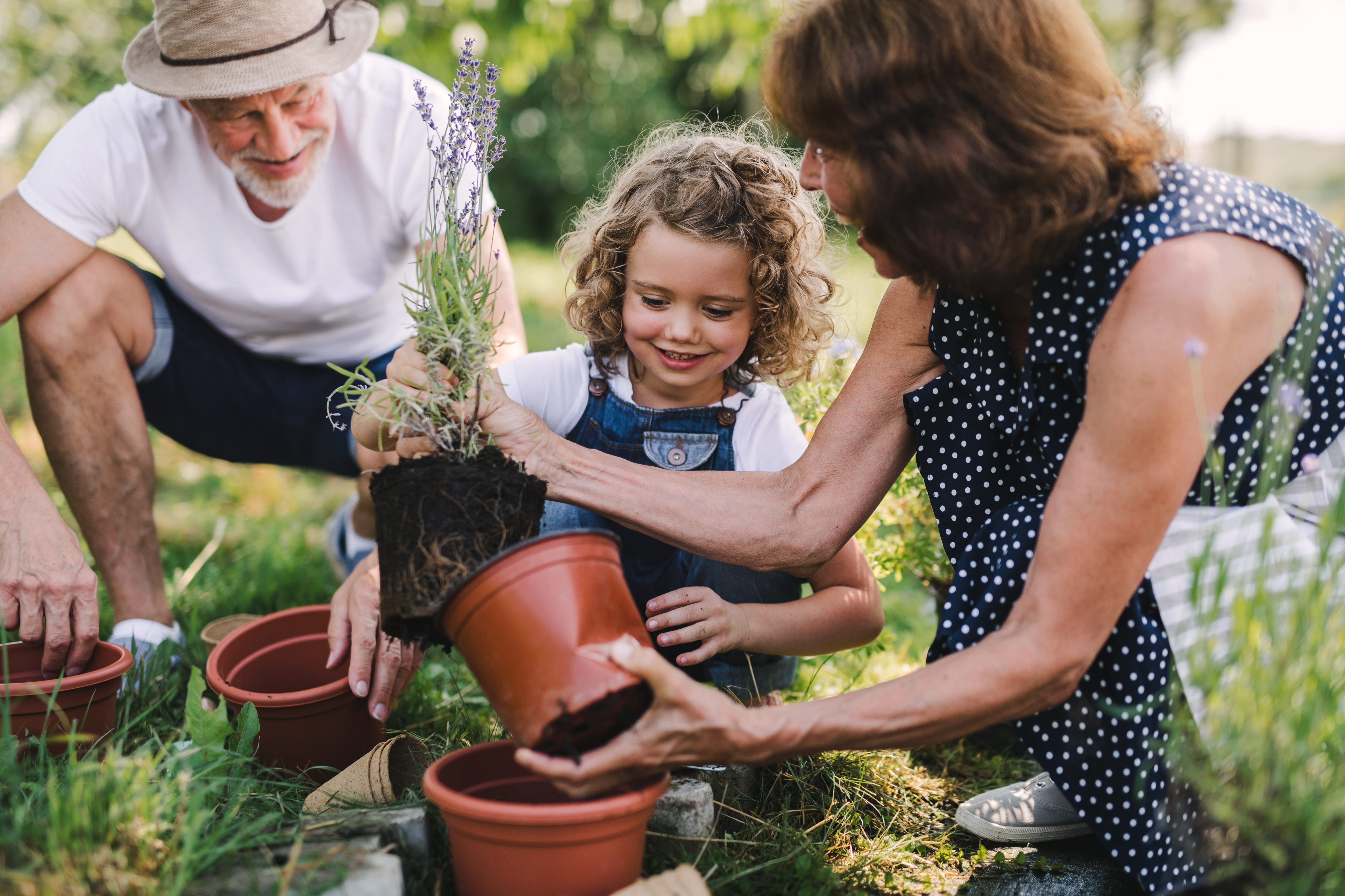 An older couple repots plant with little girl.