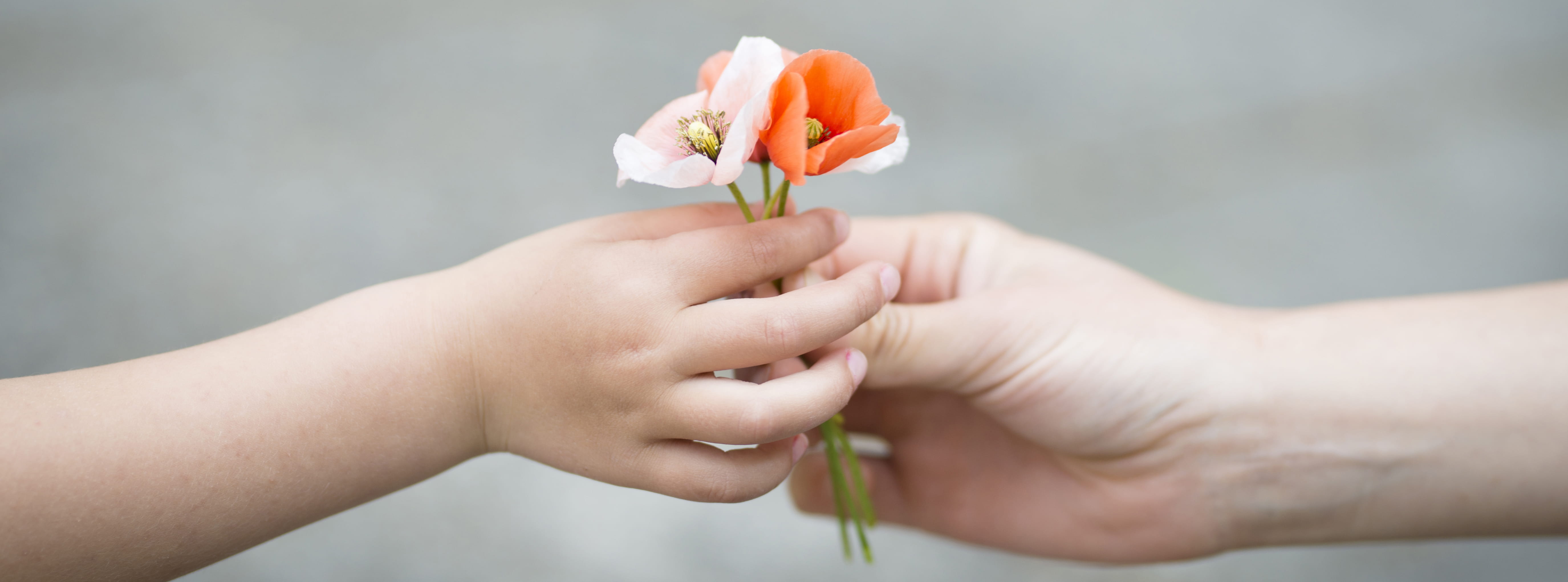 Two-hands-with-pink-orange-flowers