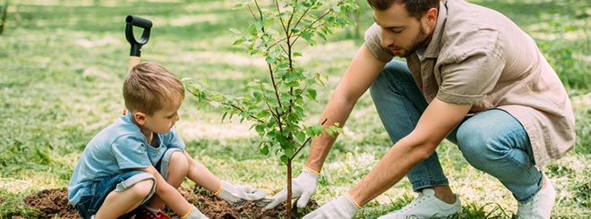 dad and son planting tree