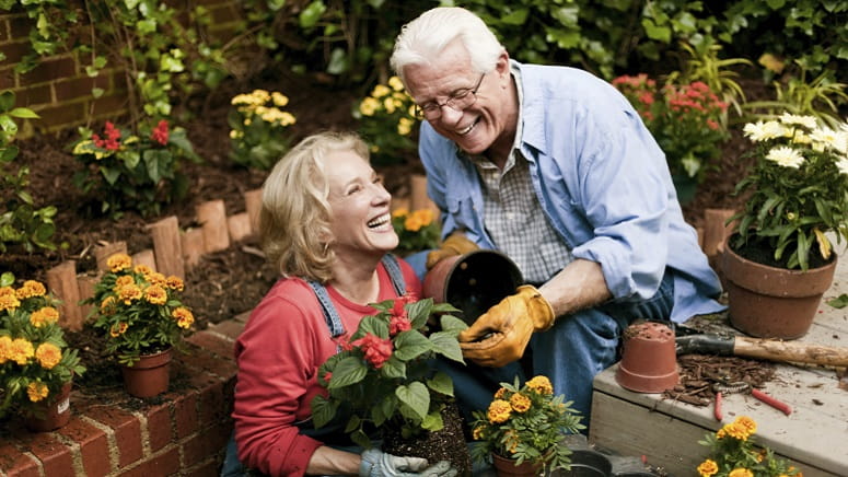 couple planting flowers