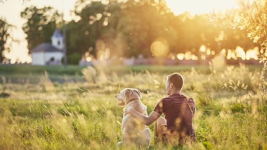 Guy with dog in the field