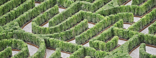 A bush labyrinth