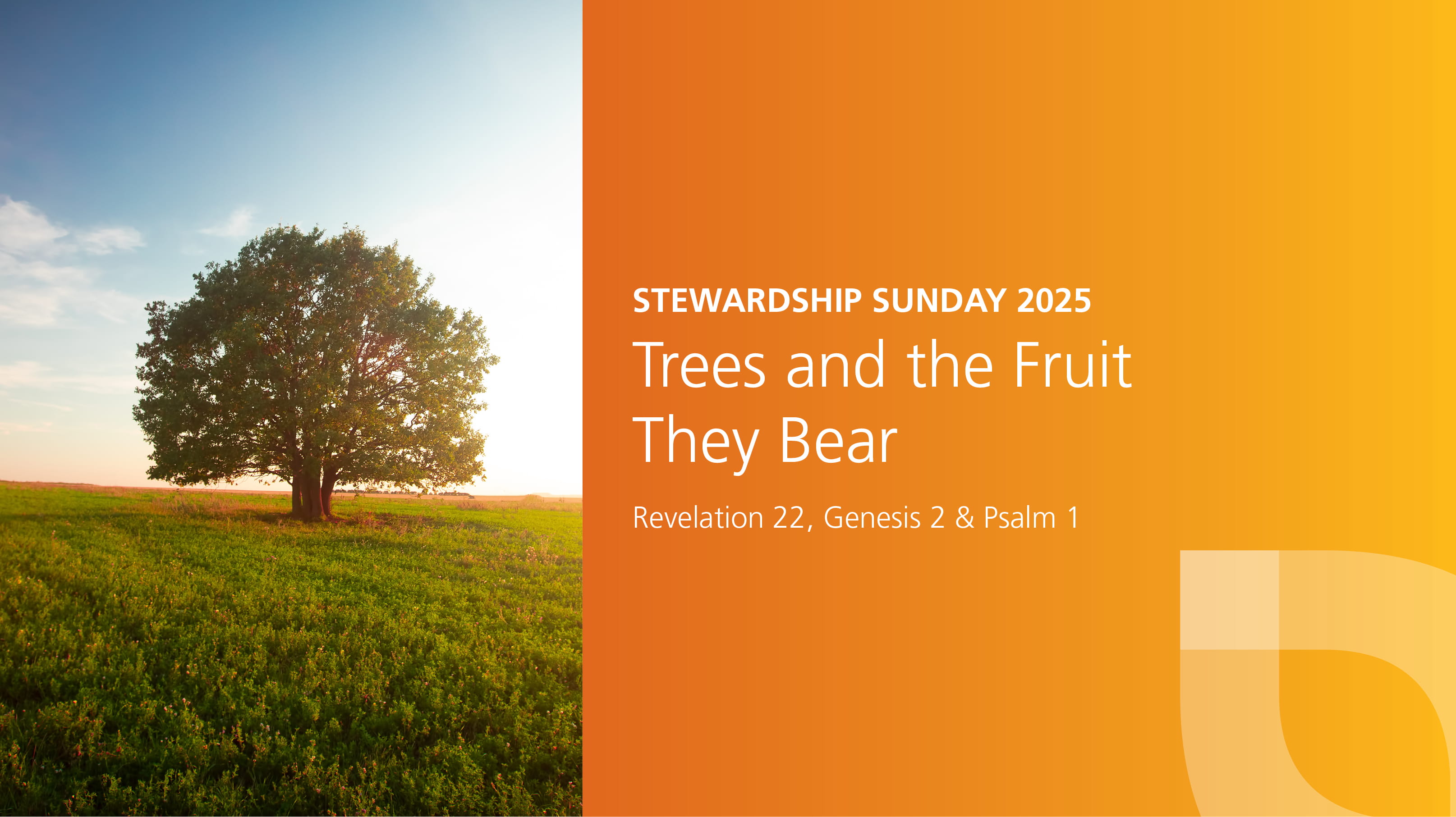 Stewardship theme verse with orange Everence background and next to a tree standing in a field.