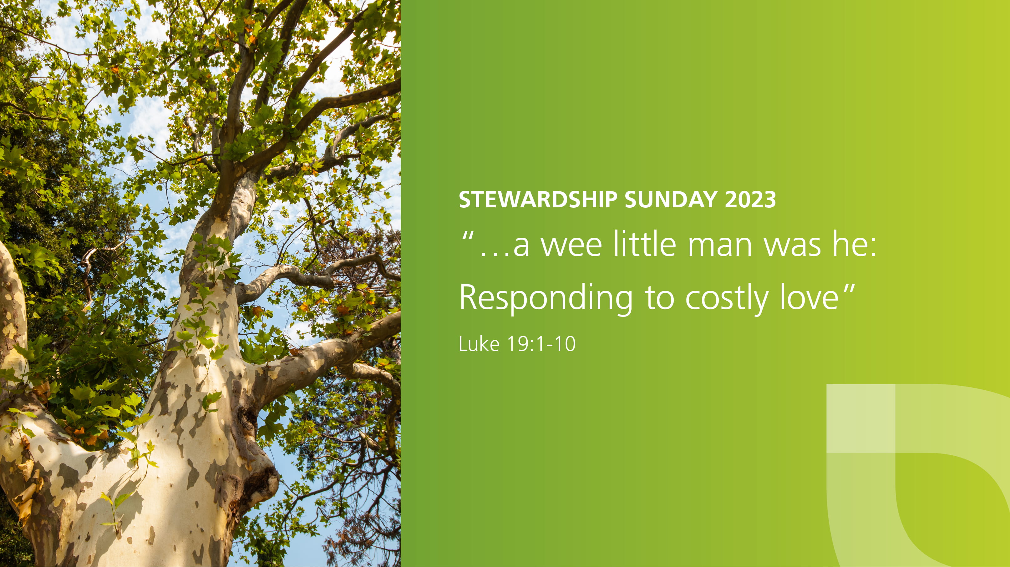 Stewardship theme verse with green Everence background and next to growing tree.